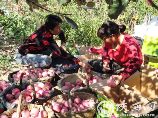 黄龙三岔镇:“两个创新”绘画卷“一个紧跟”谱新篇