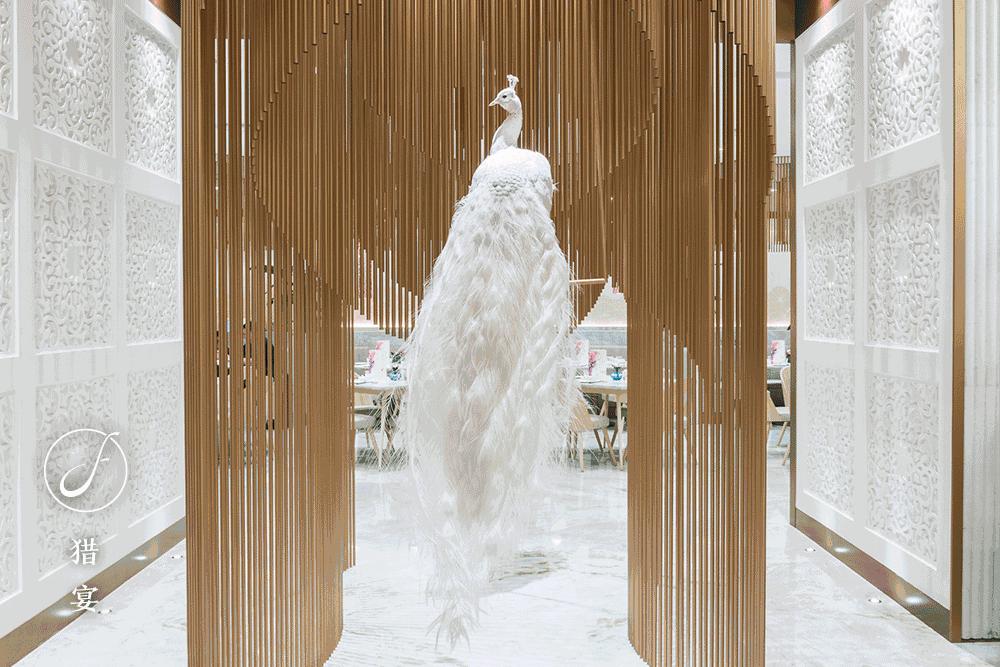 金孔雀川菜四川,金孔雀川菜