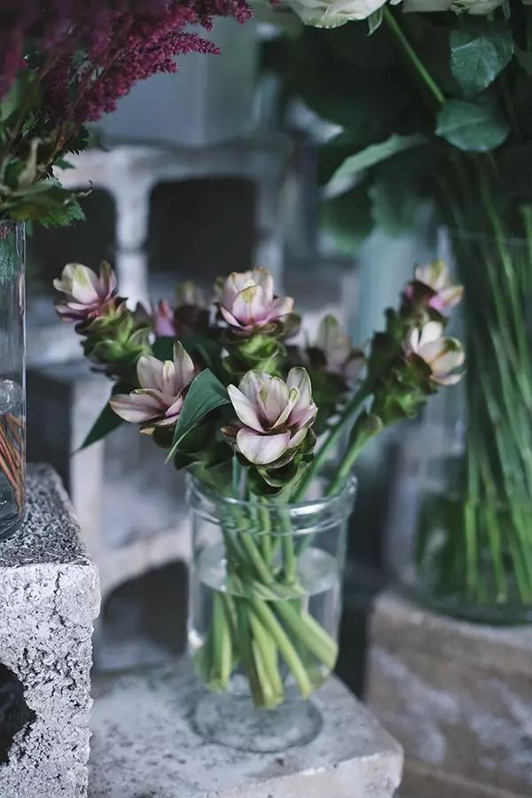 花艺师要会些什么,花艺师必须会哪些东西