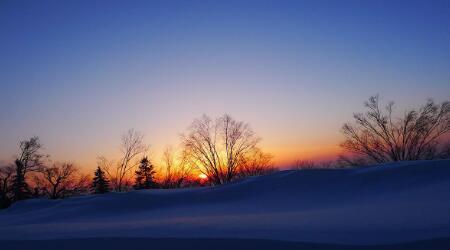 今日医疗资讯最新,最新最全的医疗资讯