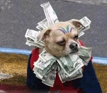 生肖狗21号运程图表图片,生肖狗什么时候赚大钱