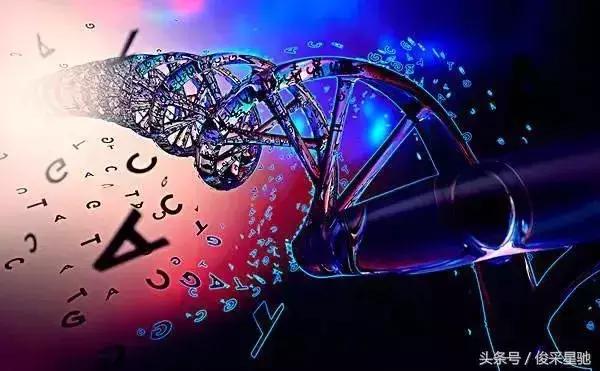 基因检测—从交友到生娃的遗传学应用