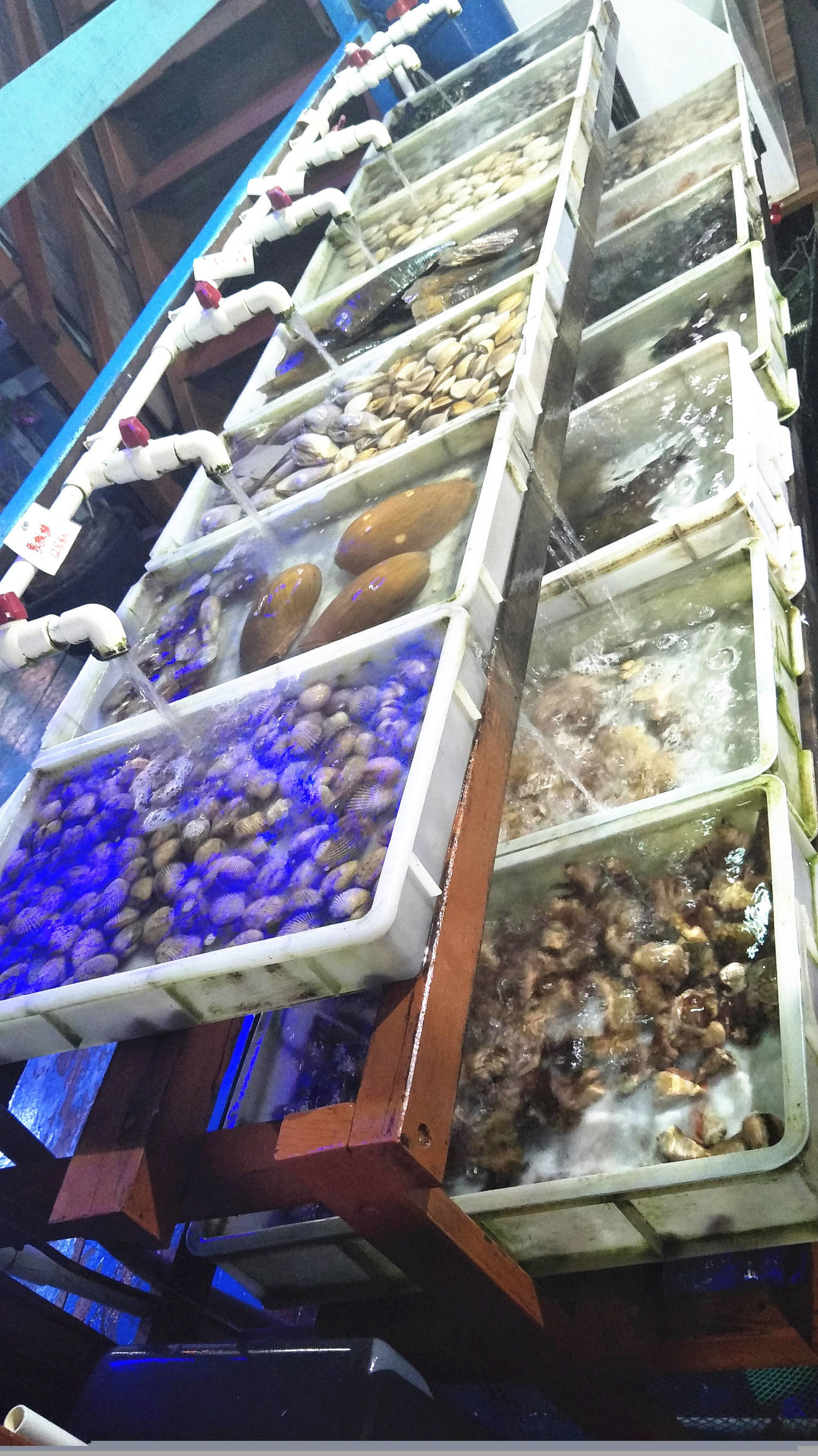 三亚清水湾海滩美食攻略,海南清水湾疍家新村鱼排午餐