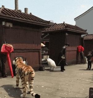 搞笑图片幽默笑话gif,搞笑幽默段子图片大全