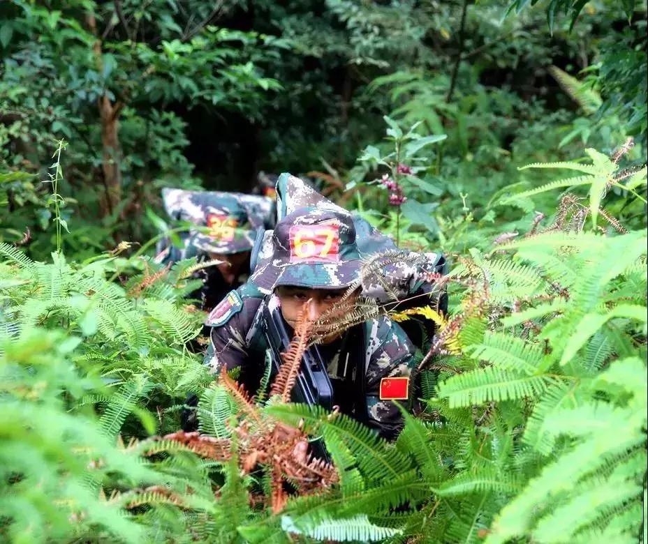 成为特种兵需要什么条件,成为特种兵的必备技能