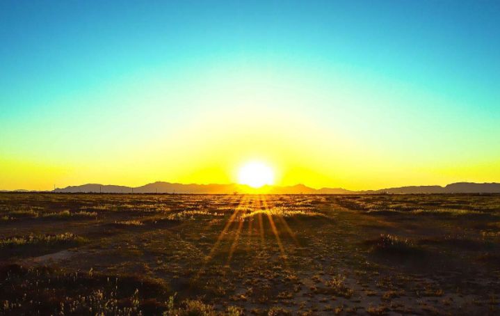 “一出生就风华正茂”的世界旅游联盟