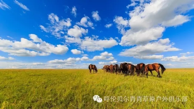 呼伦贝尔旅游自由行攻略,第一次呼伦贝尔自由行