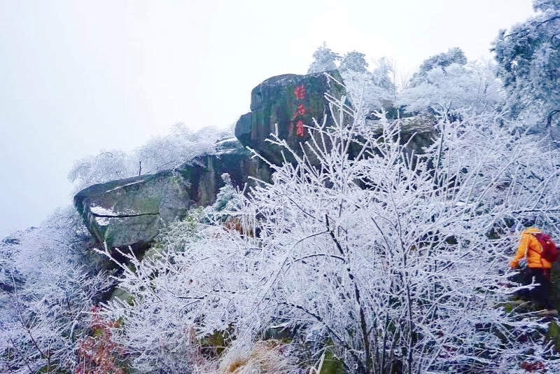 青春旅社完整版,青春旅社莫干山民宿b栋
