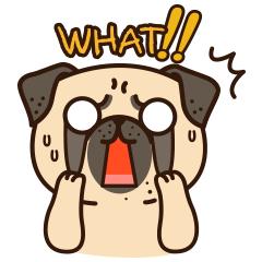 云南爆浆冰糖牛奶玉米,云南爆浆牛奶水果玉米