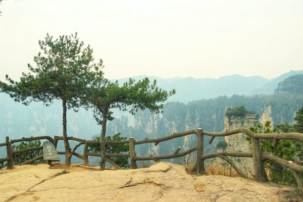 神奇美丽的张家界,张家界大自然仙境长视频