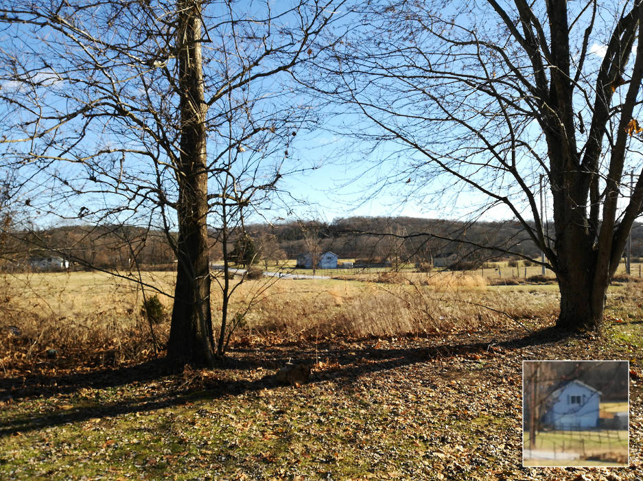 华为荣耀7X详细评测：个性化和功能化的完美结合