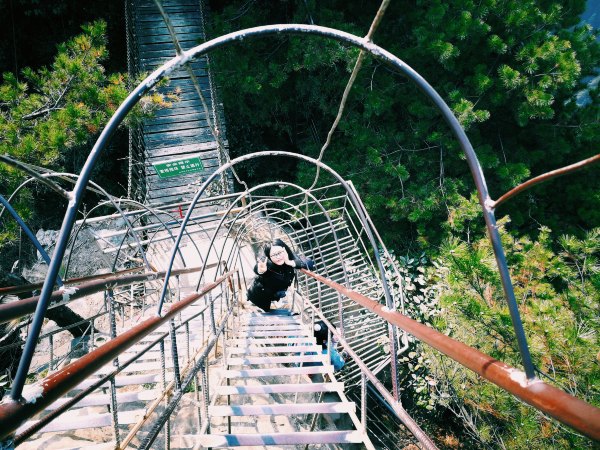 神奇美丽的张家界,张家界大自然仙境长视频