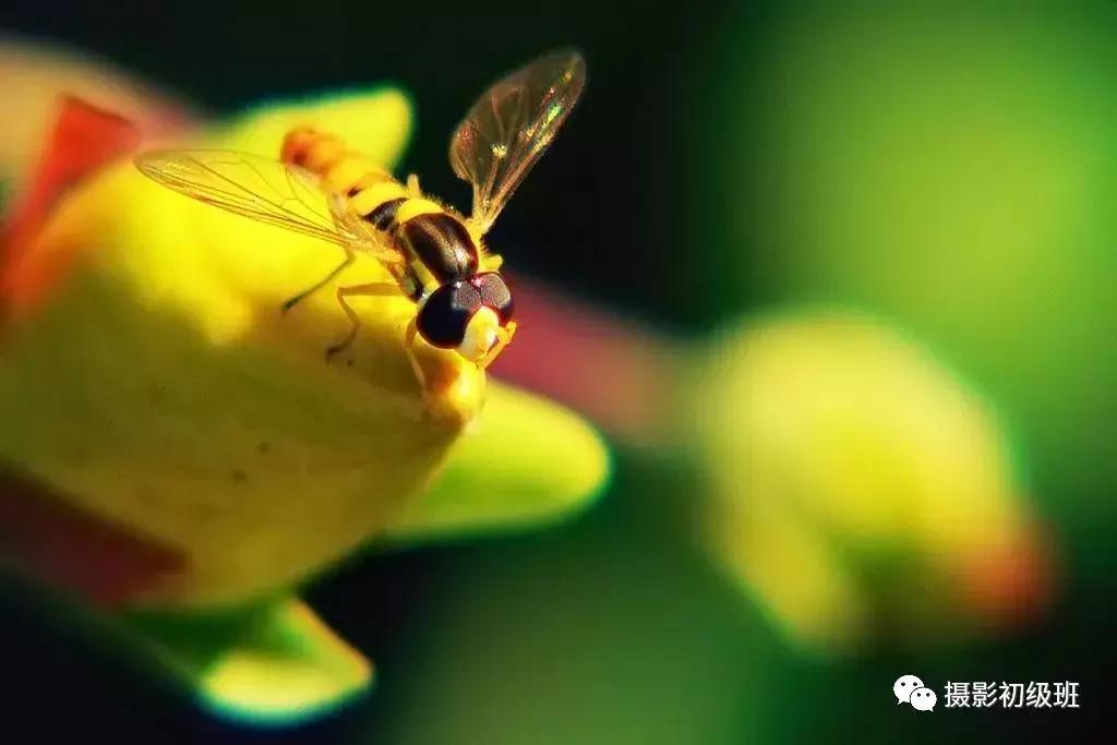 新手相机介绍攻略,新手入门相机的知识