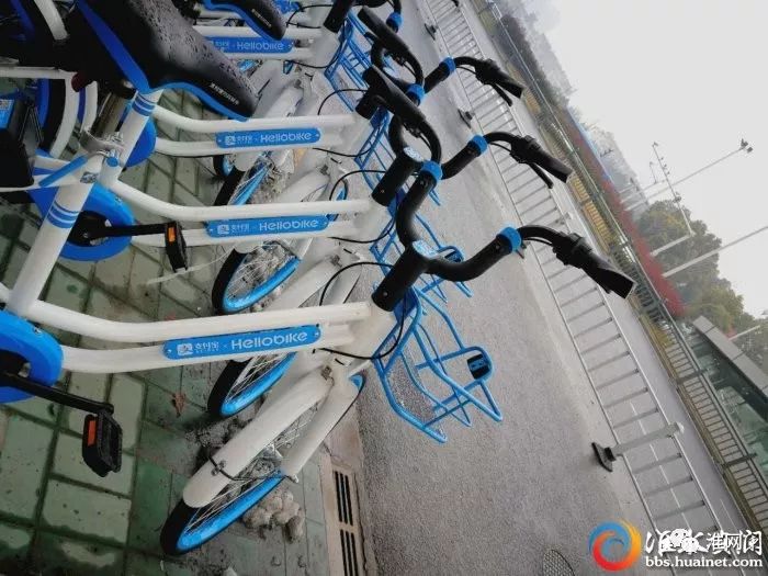 出行又添便利！小蓝车来淮安啦，颜值超高！你有见过吗？