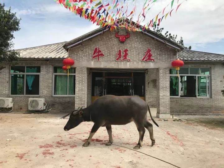 佛冈梦回大唐不夜城美食节,清远佛冈篁胜广场美食节