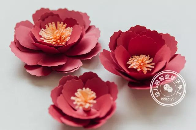怎么用卡纸做牡丹花和郁金香,牡丹花手工制作卡纸小学