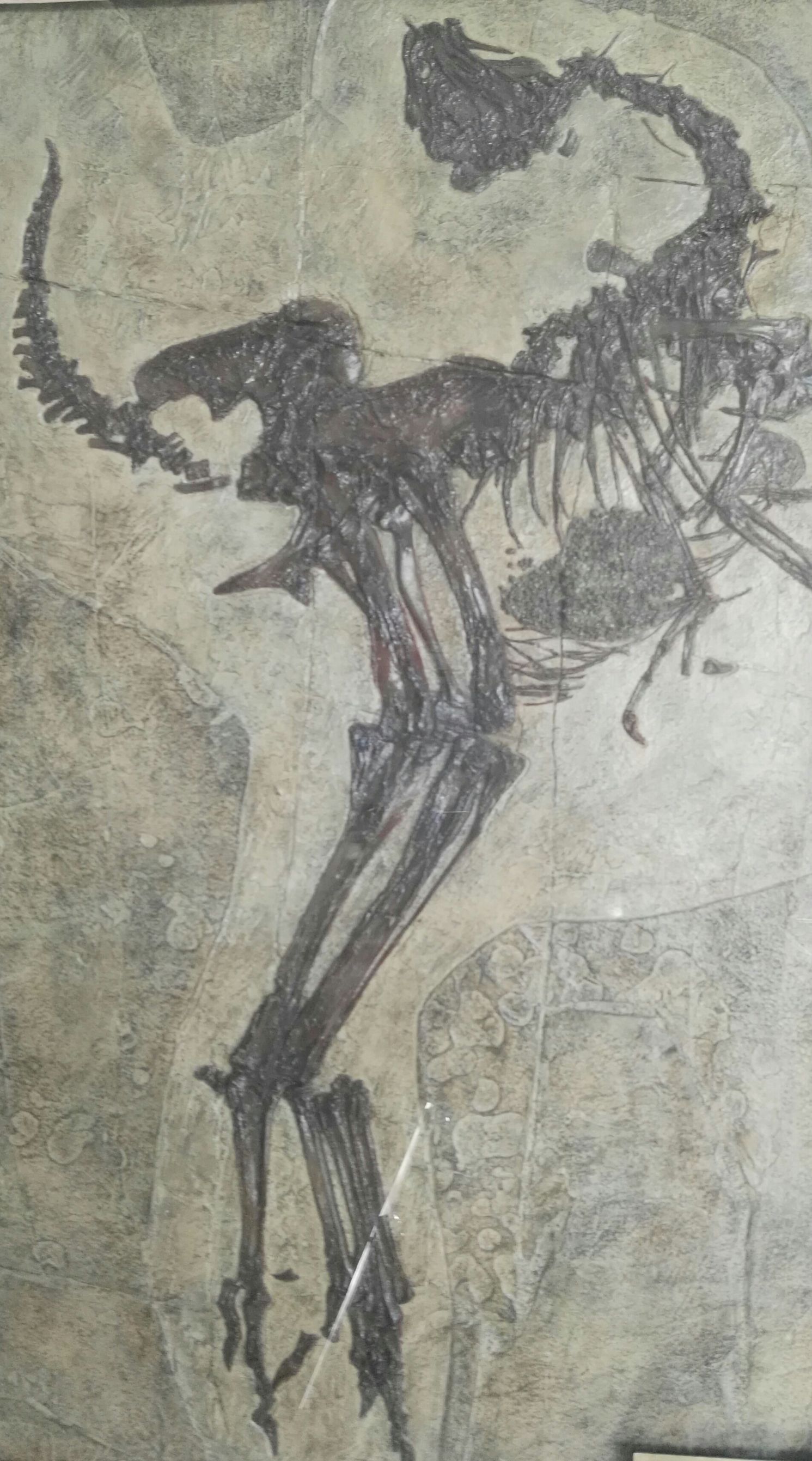 生命是什么最经典的回答,真正的生命是什么样的