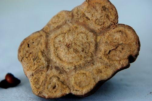 中药材造假猖獗，火眼金睛识别假中药