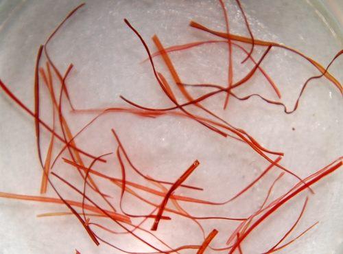 中药材造假猖獗，火眼金睛识别假中药