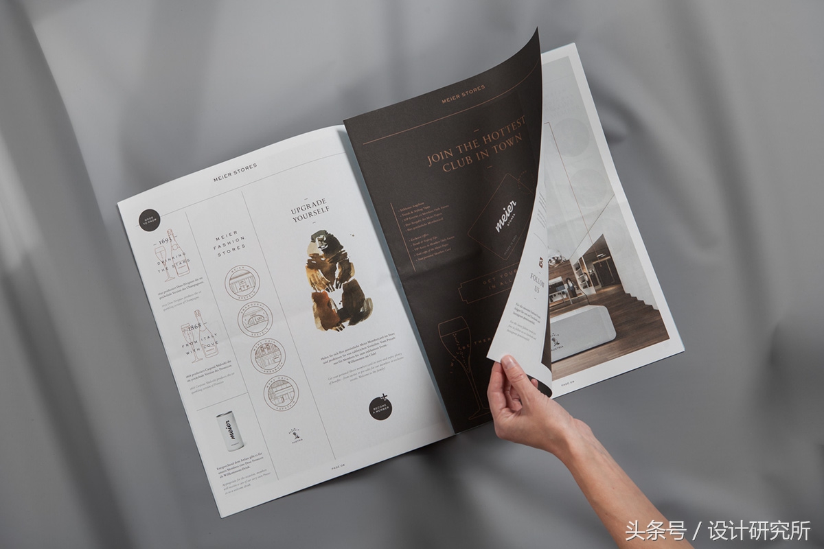 国外TheMeierPaper报纸设计欣赏