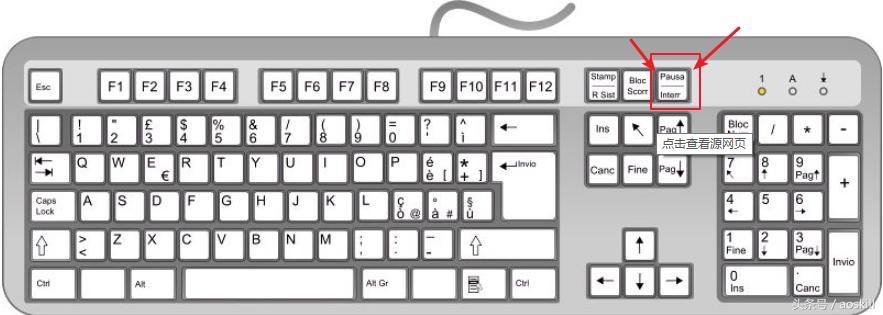 ppt环形摇奖抽号制作,ppt随机摇号怎么制作