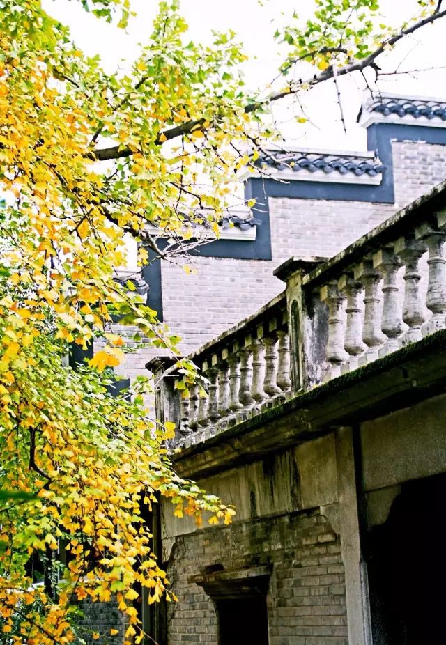 2018年浙江地方景点旅游日历大合集!含杭州,建德,温州,金华!