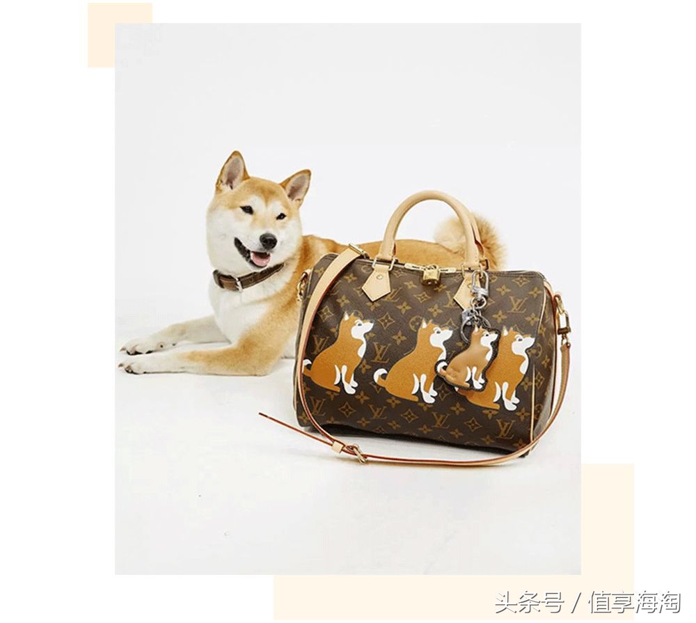 奢侈大牌狗年限定款,时尚大牌2022年春季限定款