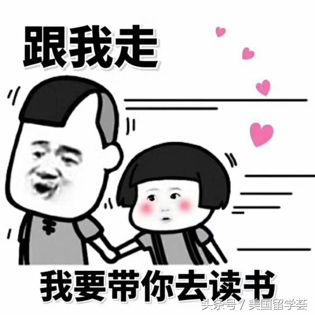 教育环境比较好的城市,教育环境好的城市