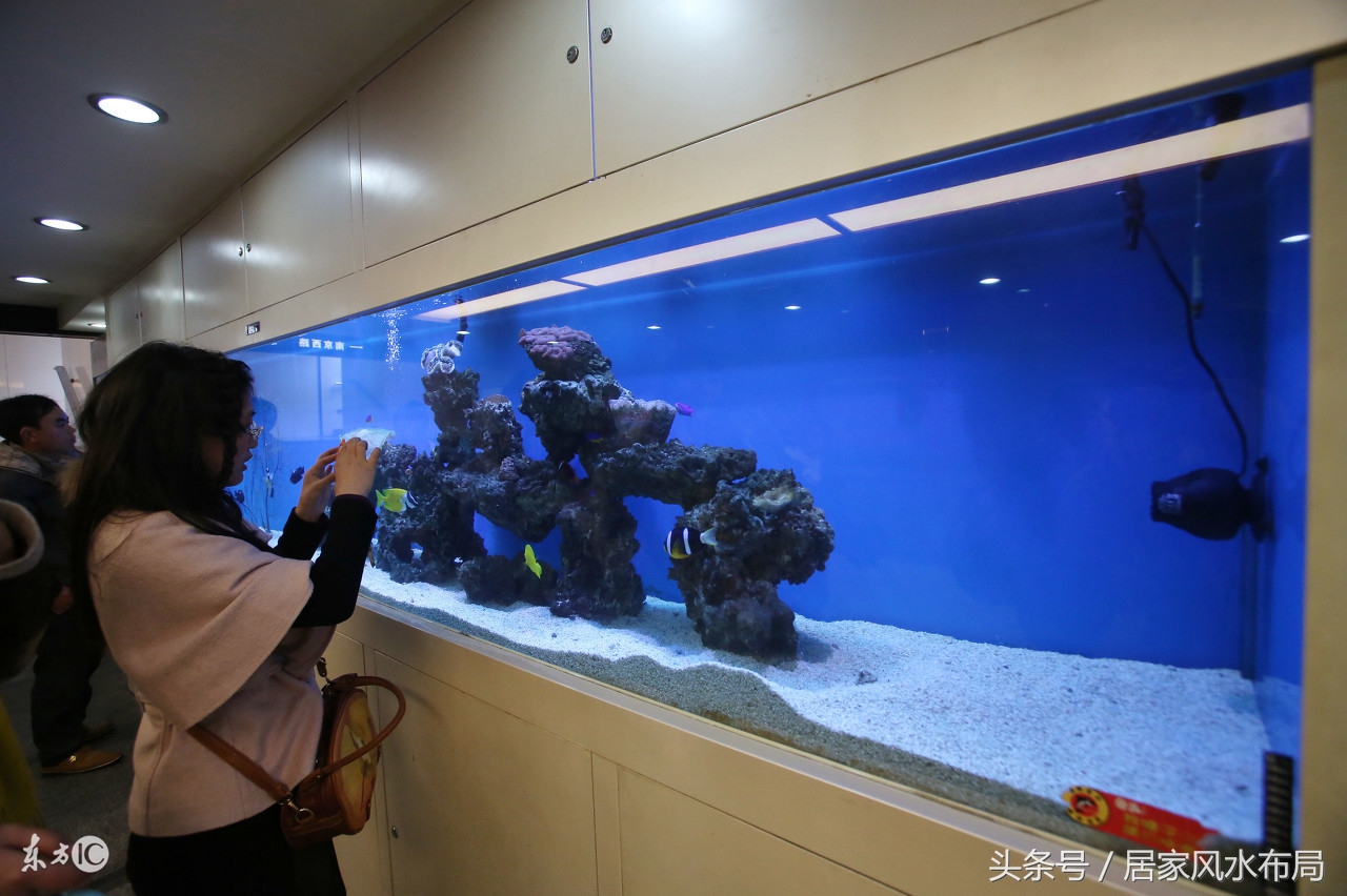 客厅财神可以摆在鱼缸旁边吗,财神和鱼缸放在一起好不好