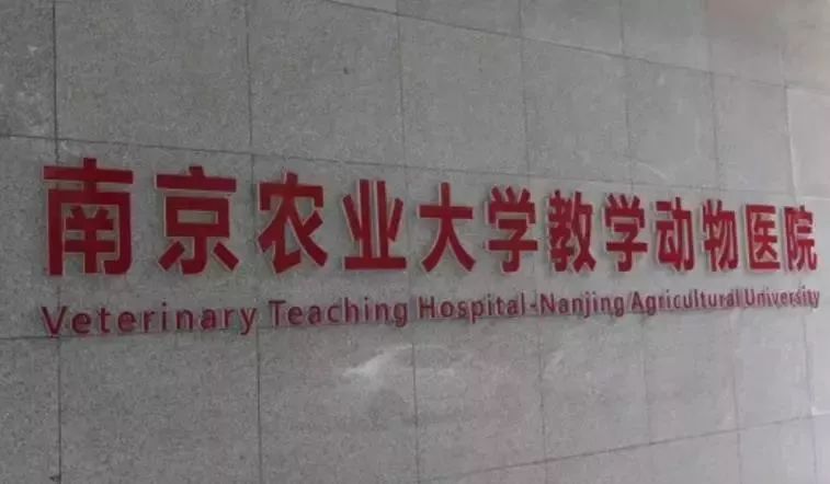 铲屎官宠物诊所,铲屎官宠物医院优惠