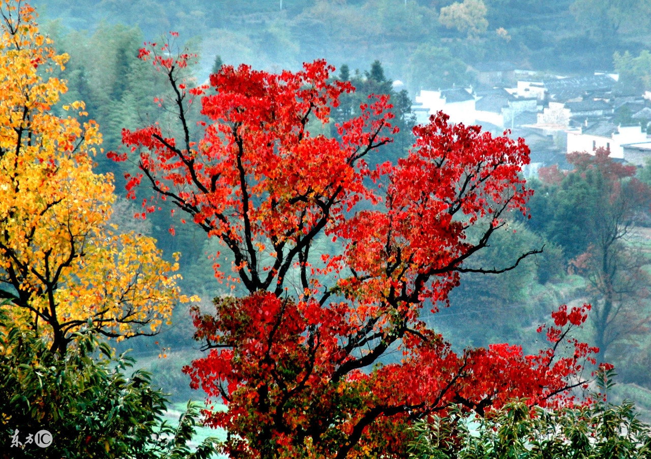 感慨历史变迁的古诗名句,表达岁月沧桑的古诗句大全