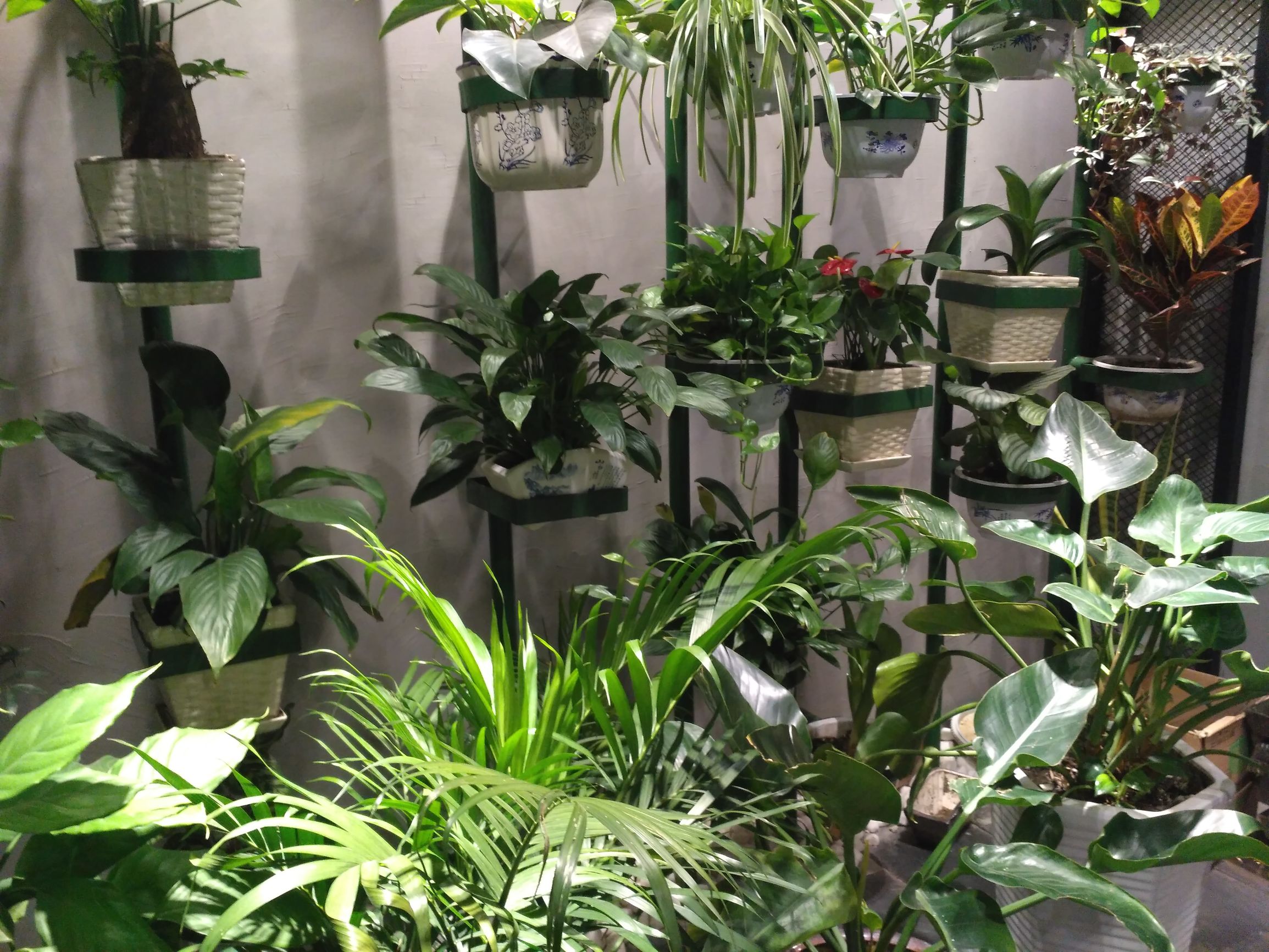 打喷嚏的正确方式有趣,打喷嚏有哪些妙用