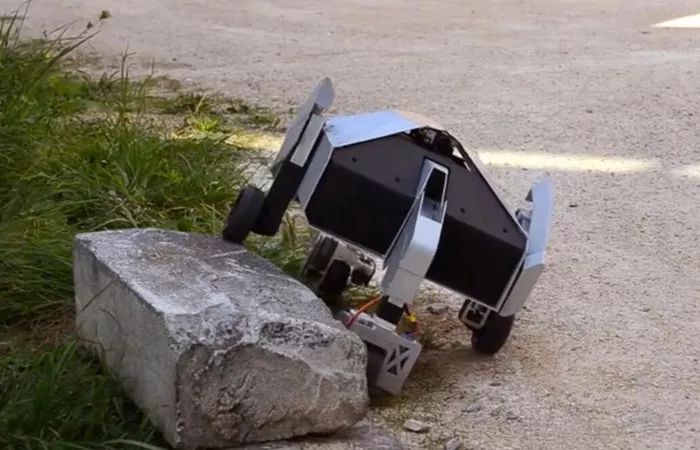 原来深圳那么美,原来深圳这么美