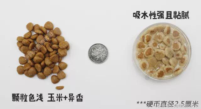 河北宠粮怎么样,河北宠粮