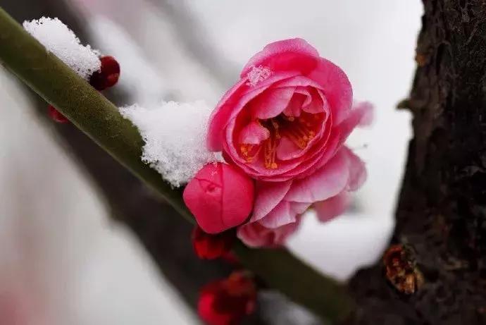 感慨历史变迁的古诗名句,表达岁月沧桑的古诗句大全