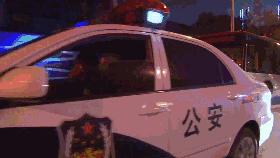 110警察接话日常,110警察来了