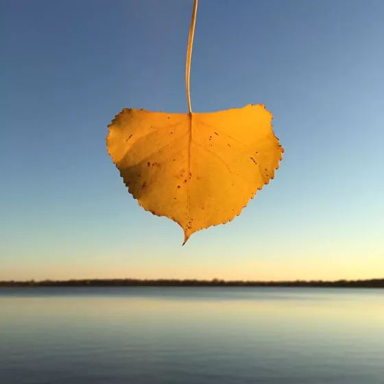 手机摄影创作方法,手机摄影构图的十七种方法