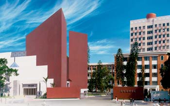 广州美术学院招生章程最新,广州美术学院本科招生简章