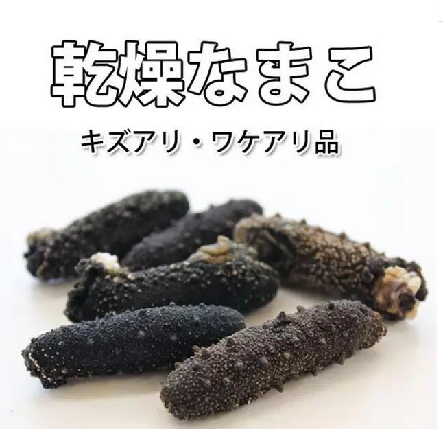 海参也有很多种,全世界所有可以吃的海参