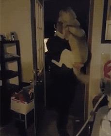 来自狗狗的反击,来自狗狗的报复新闻