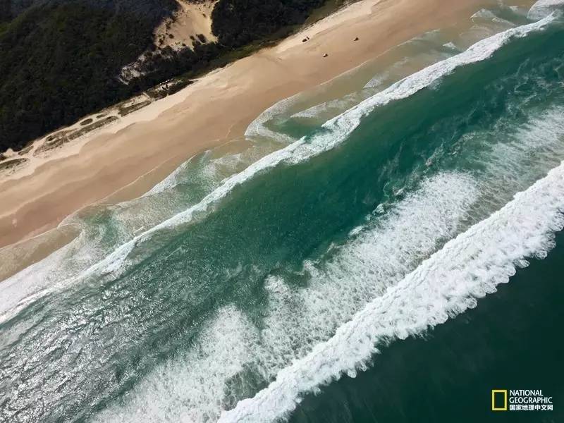 FraserIsland|快来全世界最大的沙岛上撒把野