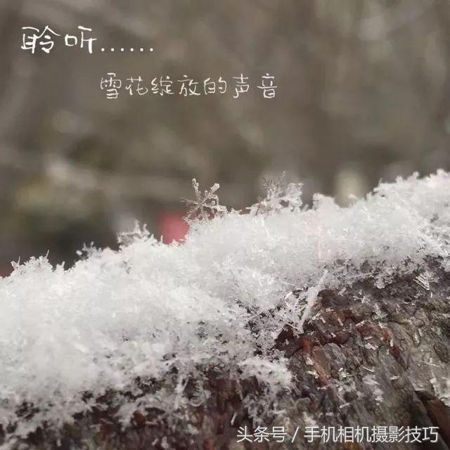 最普通的雪景拍摄感觉,看看你们拍的雪景是什么样的