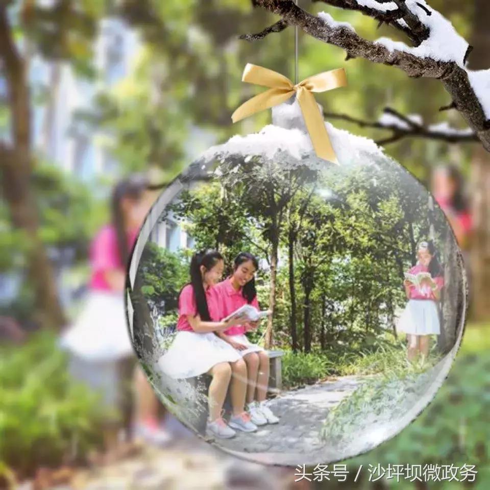 「印迹·2017」教育强区｜沙坪坝：办好人民满意教育，培养担任民族复兴大任的时代新人