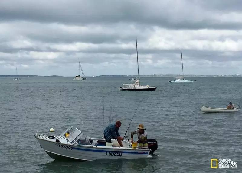 FraserIsland|快来全世界最大的沙岛上撒把野