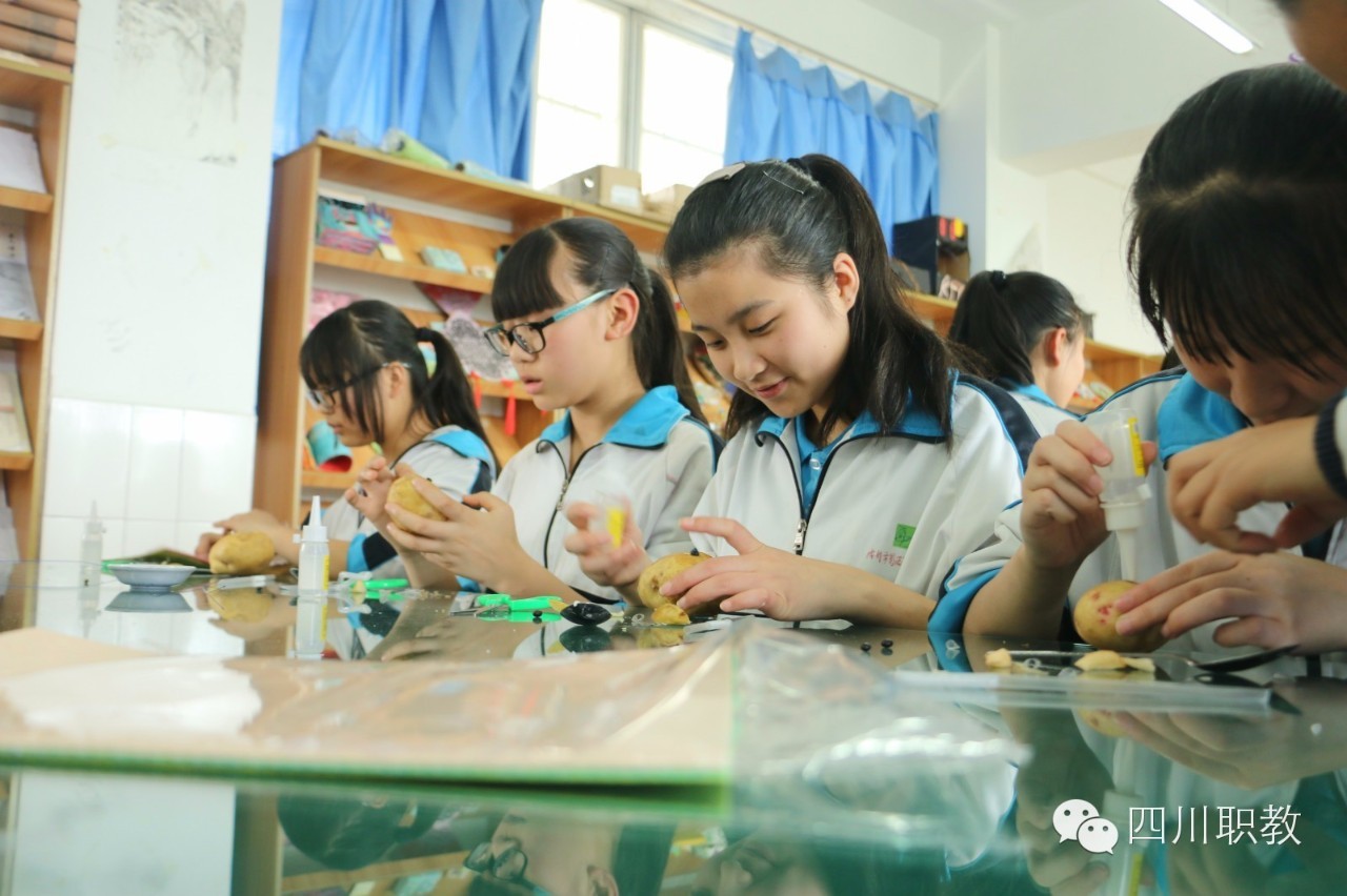 中学生也有“比如世界”了！|全省首个普职融通职业体验训练营在蓉开营