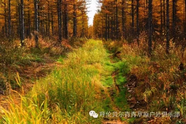 呼伦贝尔自由行攻略,呼伦贝尔自由行