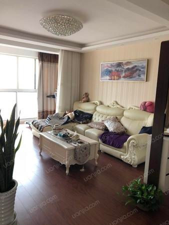 莘闵别墅区两室一厅租,上海莘闵别墅288平方