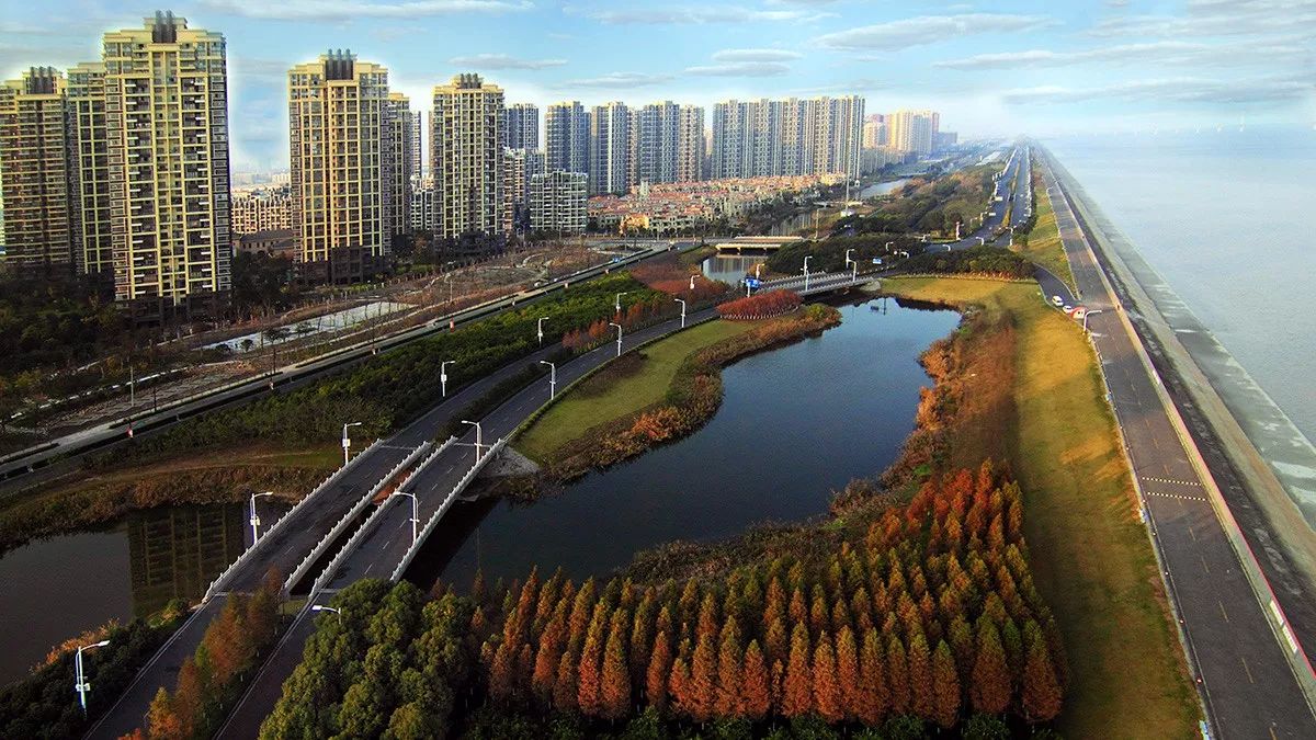 好天气不出门晒太阳,大好的天气不出门