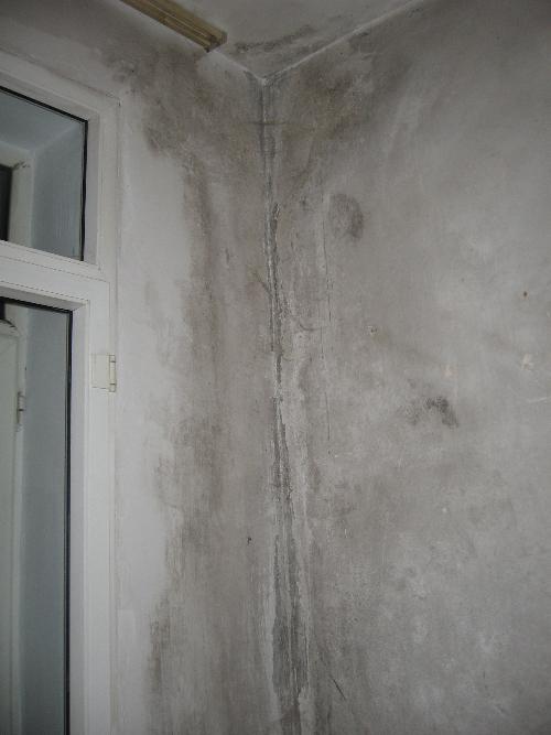 墙体受潮发霉,墙体受潮发霉怎么恢复