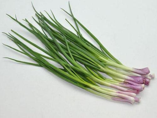 215条生活小常识，爱生活的我用了几十年总结的